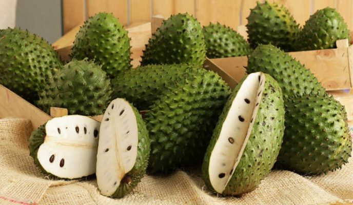 Soursop Benefits