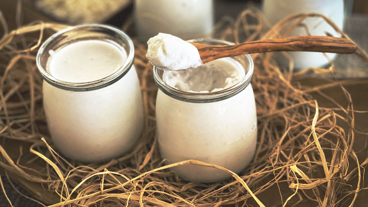 The benefits of coconut yogurt