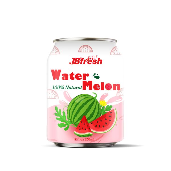 250ML-HEALTHY-JUICE-WITH-PULP-JB'FRESH-water-melon-flavor