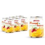 250ml juice with pulp mango flavor