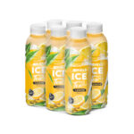 bottle 500ml 16 9 fl oz fresh ice tea with lemon flavor (3)