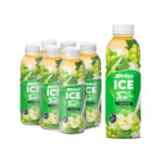 Bottle 500ml 16 9 fl oz fresh ice tea with white grape flavor (2)