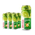 can 500ml 16 9 fl oz sparkling lime flavor with enrich vitamin