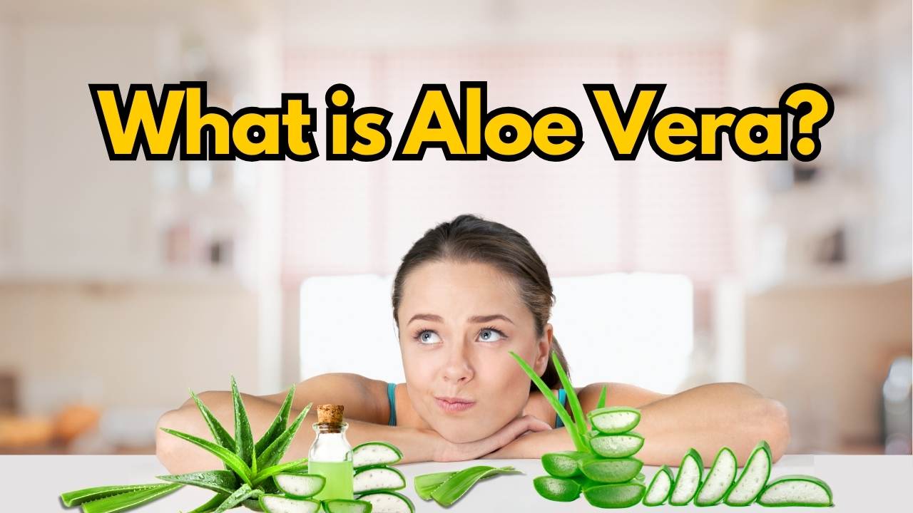 What is aloe vera