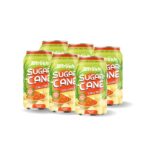 can 330ml 11 18 fl oz fresh 100 sugarcane juice with chilli salt flavor 2