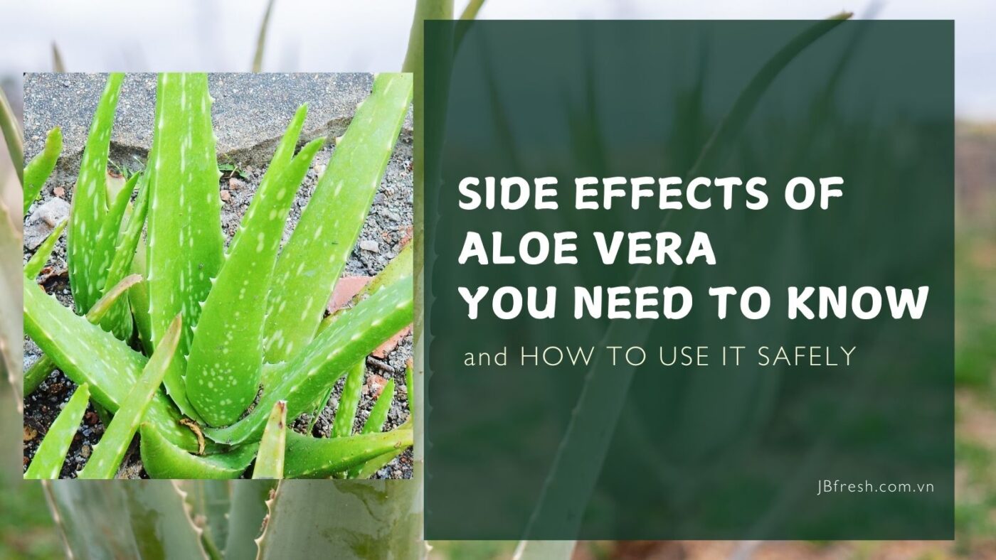 Side effects of aloe vera juice you need to know (2)