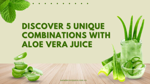 Top 5 Combinations Of Aloe Vera Juice