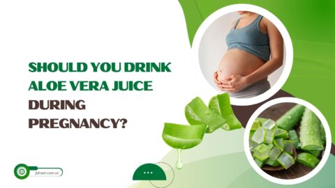 Should you drink aloe vera during pregnancy (1)