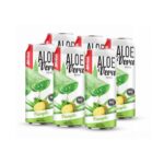 canned 500ml 16 9 fl oz fresh nfc aloe vera juice with pineapple flavor 2
