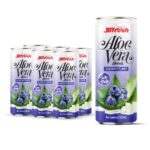 Can 320ml 10 82 fl oz fresh aloe vera drink with pulp and blueberry flavor