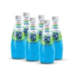 glass bottle 290ml 9 81 fl oz fresh nfc chia seed drink with natural blueberry flavor 2