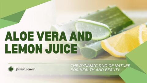 Aloe vera and lemon juice the dynamic duo of nature for health and beauty (5)