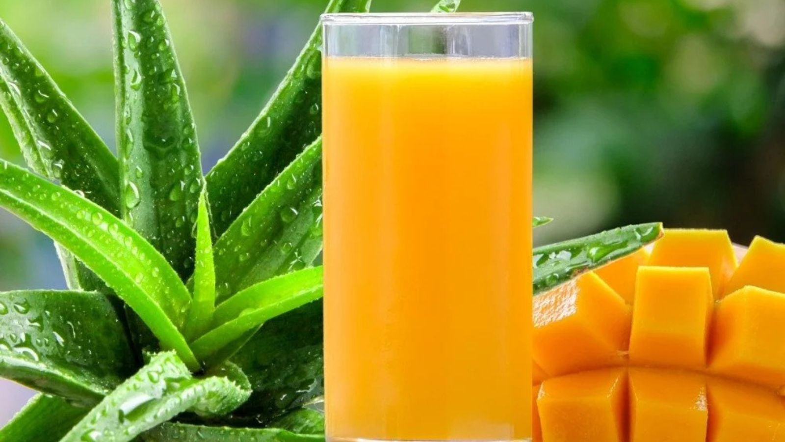 mango aloe vera juice a refreshing choice for everyday wellness (1)