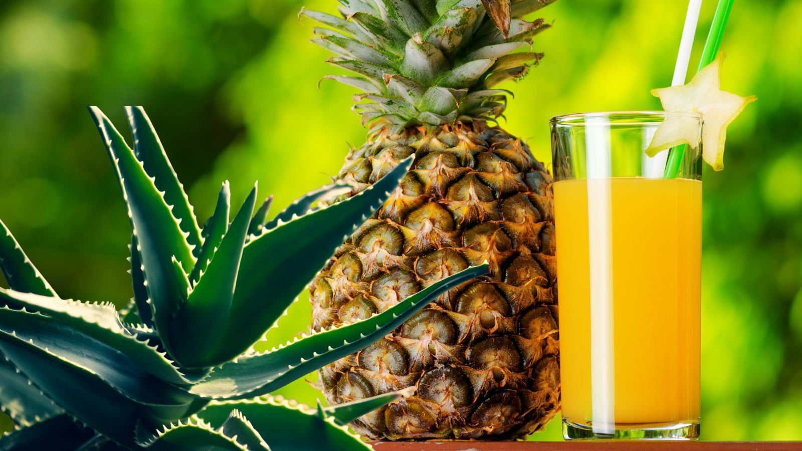pineapple aloe vera juice simple drink big benefits (9)